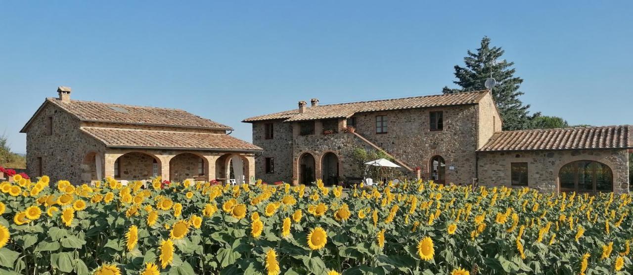 Casetta Della Pina Monticiano Exterior foto